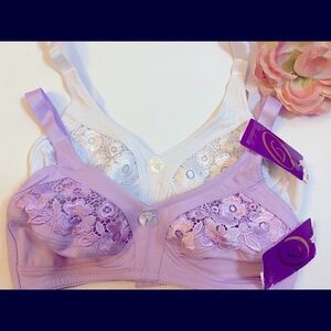 Isabella assorted lace embroidery floral Bra